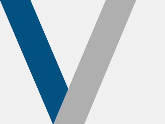 Vantage Concepts, Logo